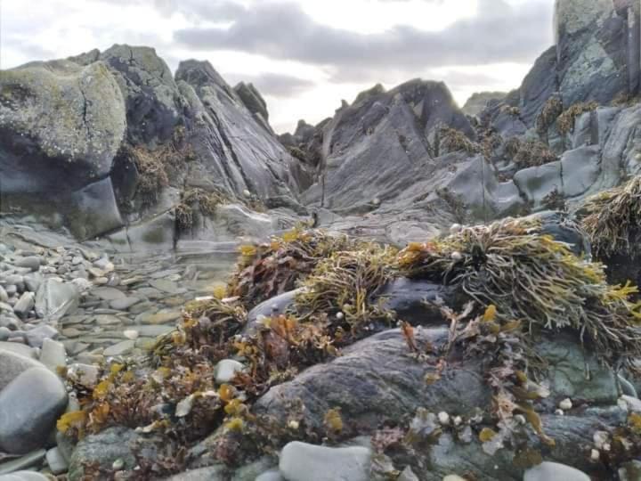 Port Lodge Northern Ireland Portaferry Εξωτερικό φωτογραφία